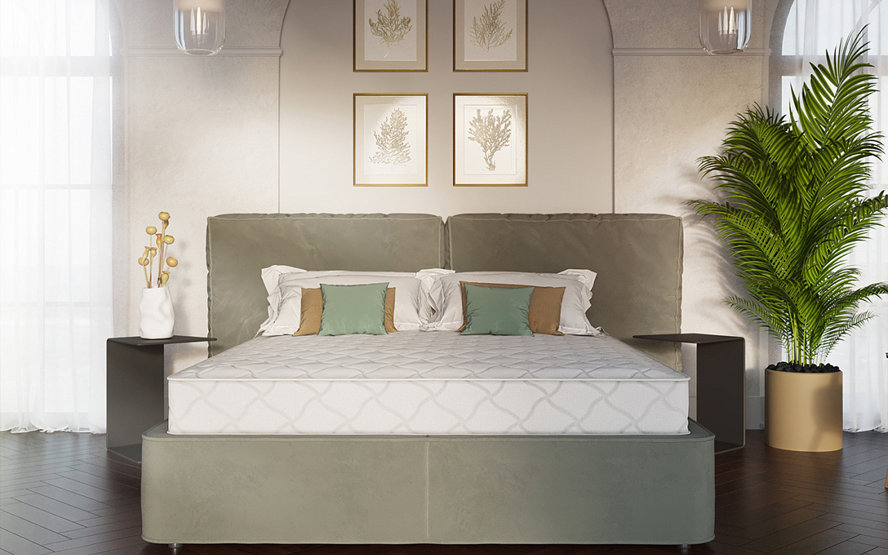 Евита Пружинные Basis фото 4